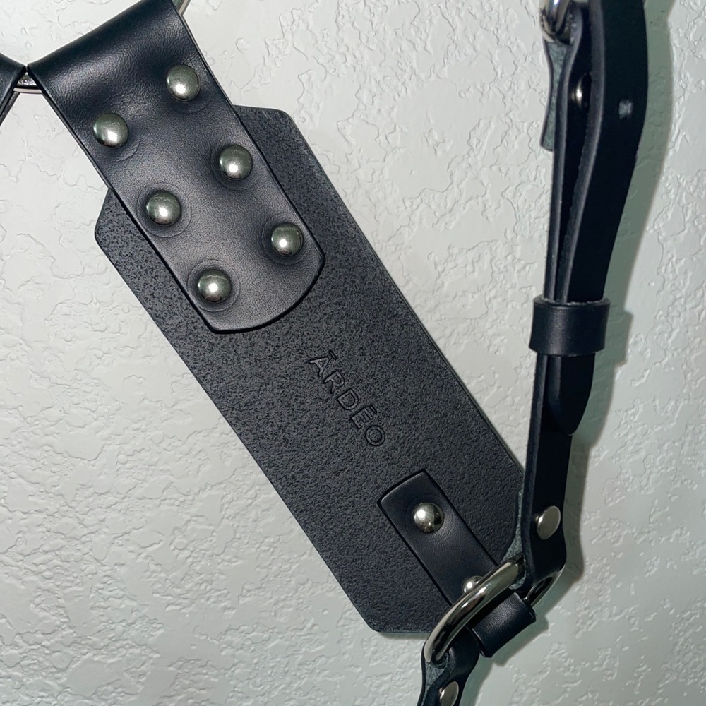 Ardeo Studios nickel high waisted harness